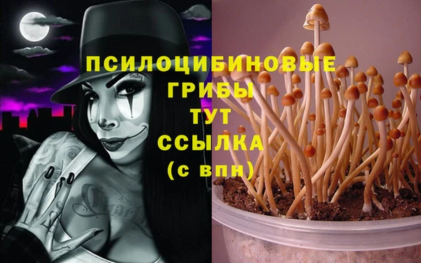 apvp Горно-Алтайск
