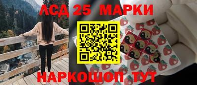 индика Моздок