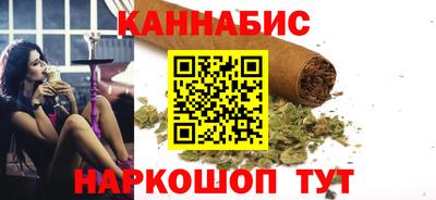 индика Моздок
