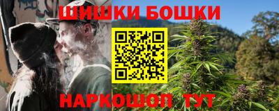 индика Моздок