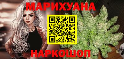 индика Моздок