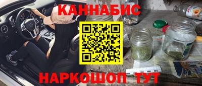 индика Моздок