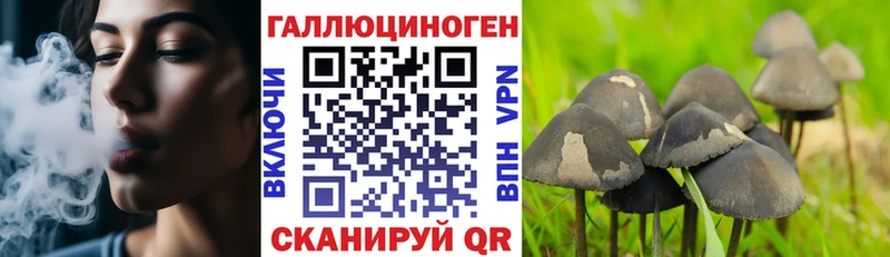 Псилоцибиновые грибы мицелий  Моршанск 