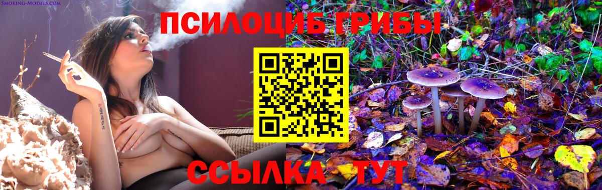 Моршанск  Псилоцибиновые грибы Magic Shrooms  Галлюциногенные грибы GOLDEN TEACHER  Вход с VPN 