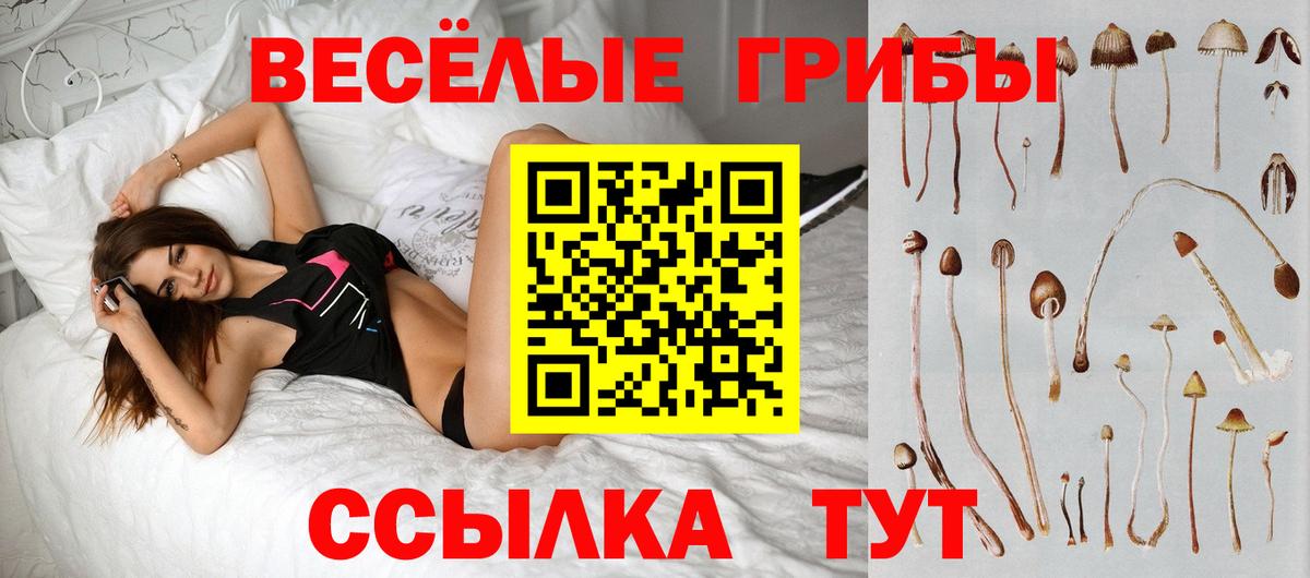 Галлюциногенные грибы Psilocybine cubensis  Моршанск 